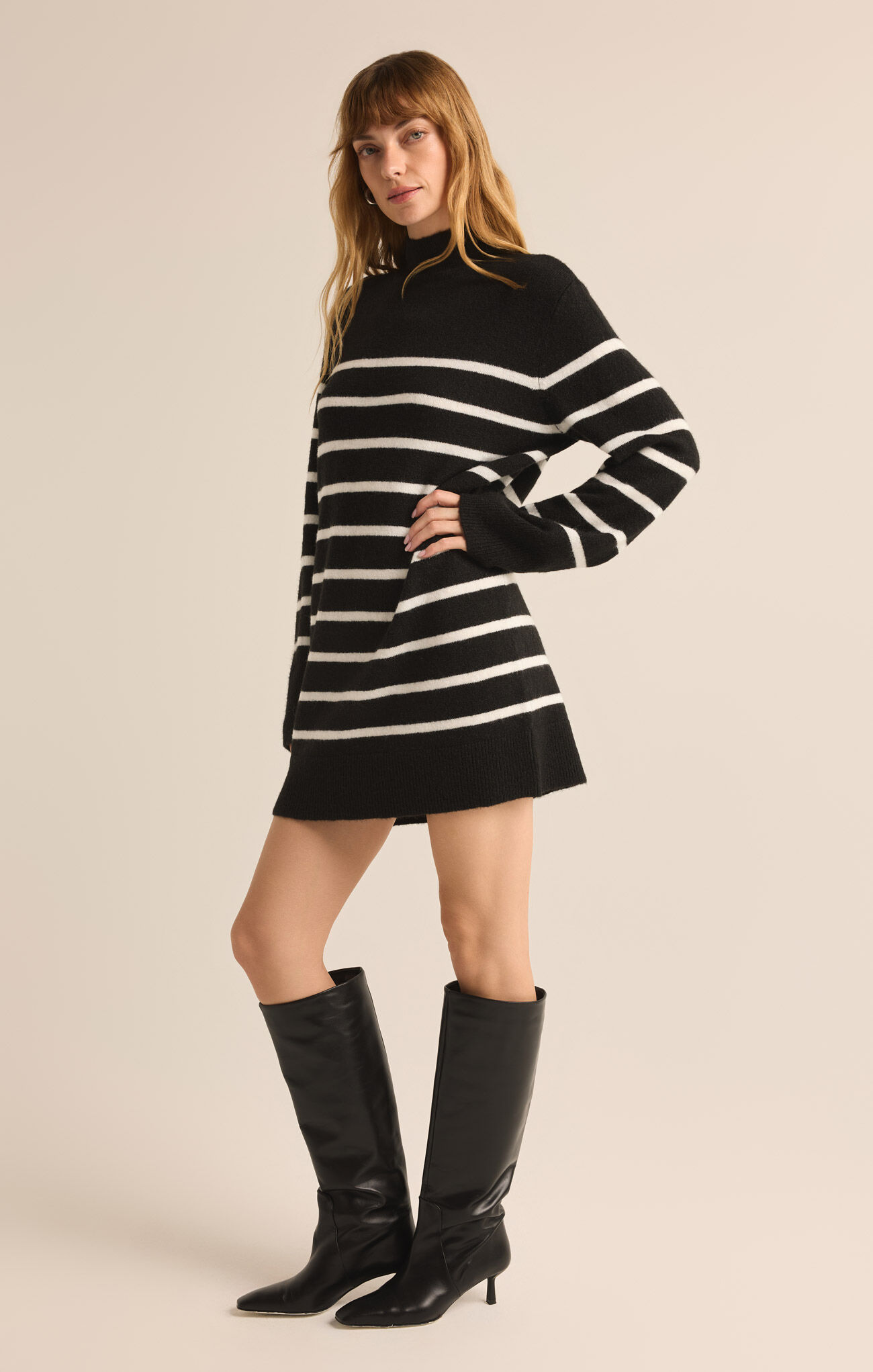 [Z Supply] Fin Stripe Sweater Dress