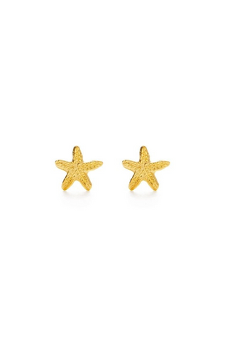 Tiny Starfish Stud Earrings