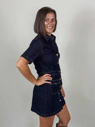 [Z Supply] The Crush Denim Dress