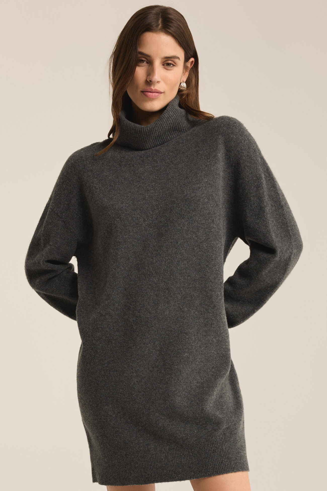 [Z Supply] Richie Sweater Dress