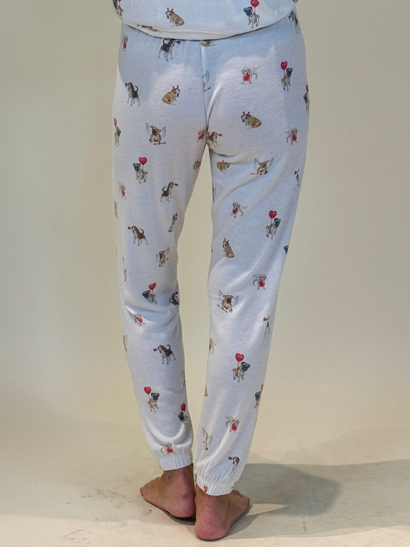 [Z Supply] Overnight Love Pup Joggers