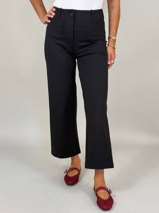 Devyn Wide Leg Ponte Pants