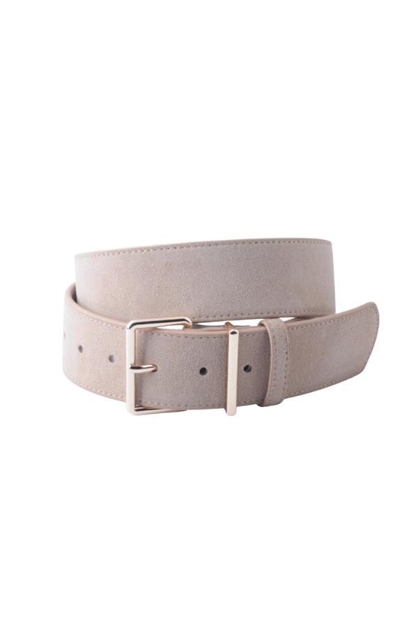 Everyday Essentials Springtime Suede Belt