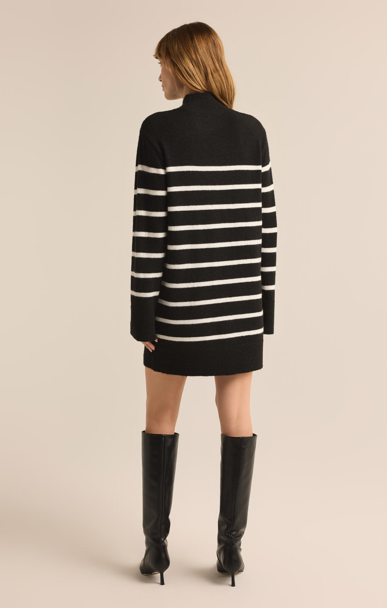 [Z Supply] Fin Stripe Sweater Dress