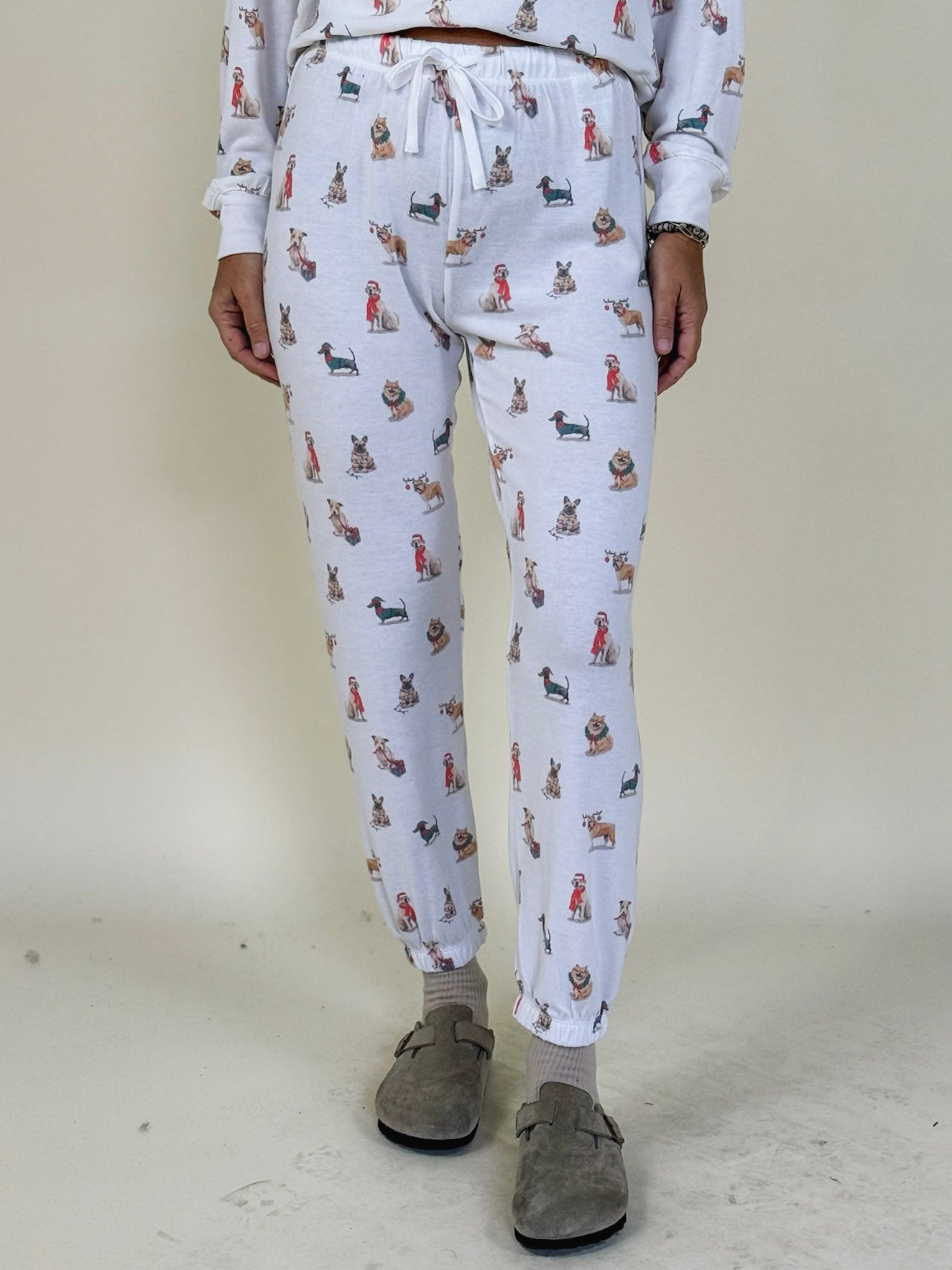 [Z Supply] Classic Pup Joggers