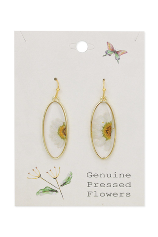 Delicate Daisy Dried Flower Earrings
