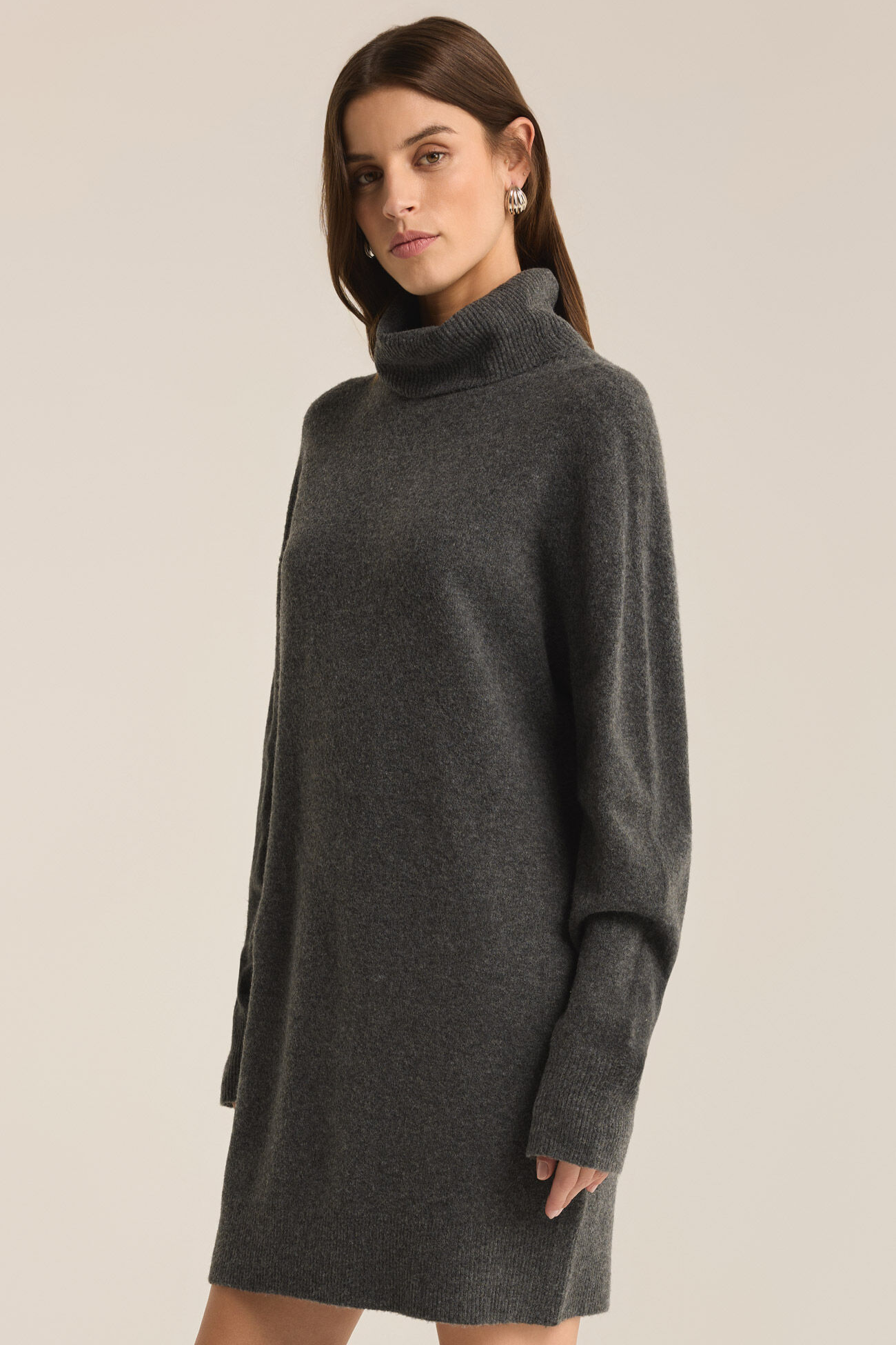 [Z Supply] Richie Sweater Dress