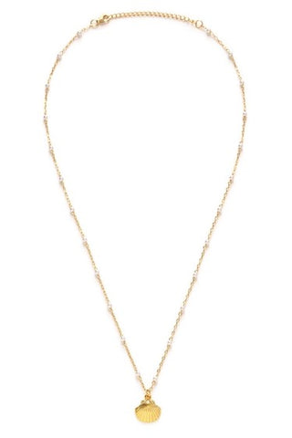 Scallop Shell & Pearl Necklace