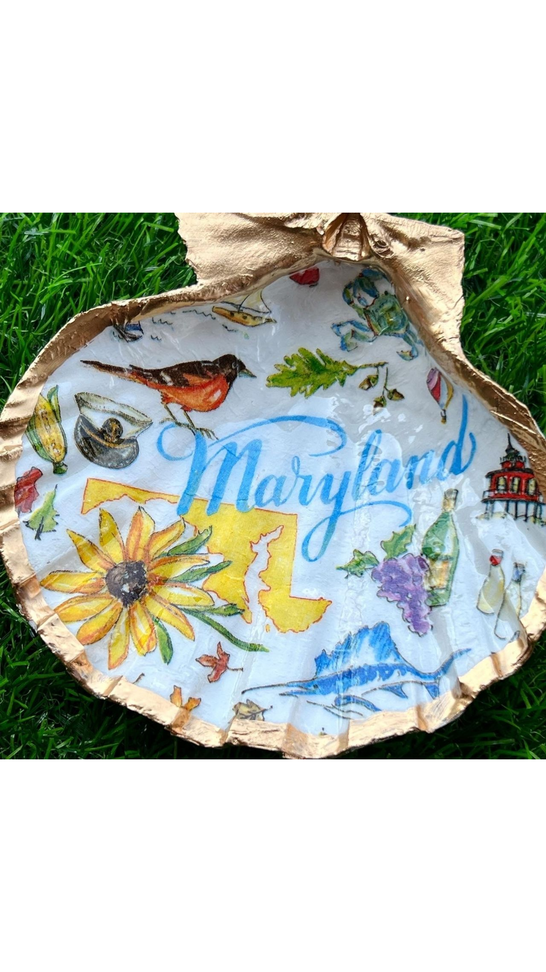 Maryland Large Trinket Shell