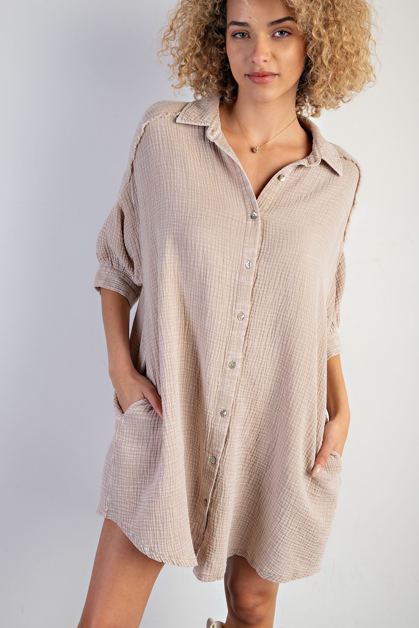 Sasha Button Down Dress