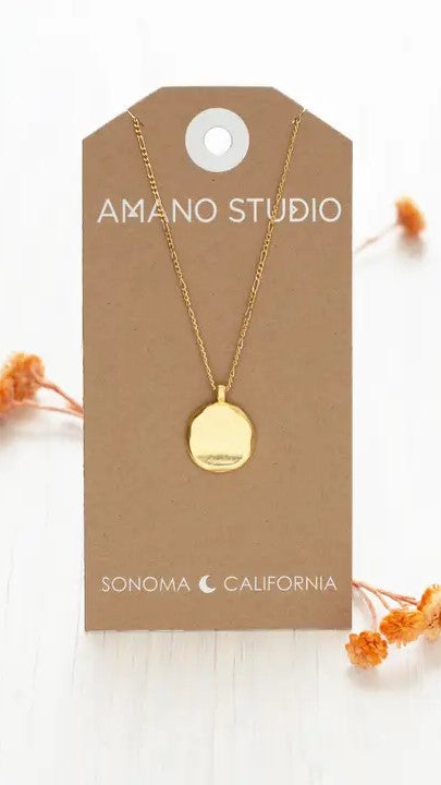 Organic Form Disk Necklace